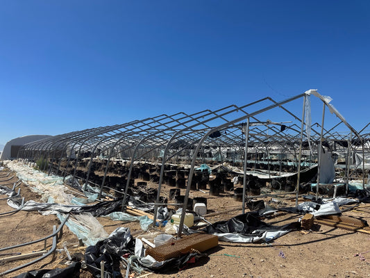 Gothic greenhouse kit — snow-shedding pointed arch roof