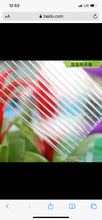 Load image into Gallery viewer, Twin Wall 8mm Polycarbonate Sheet, Clear, Strong Impact and Shatterproof, All-Weather Outdoor Greenhouse Covering - 1 Pack