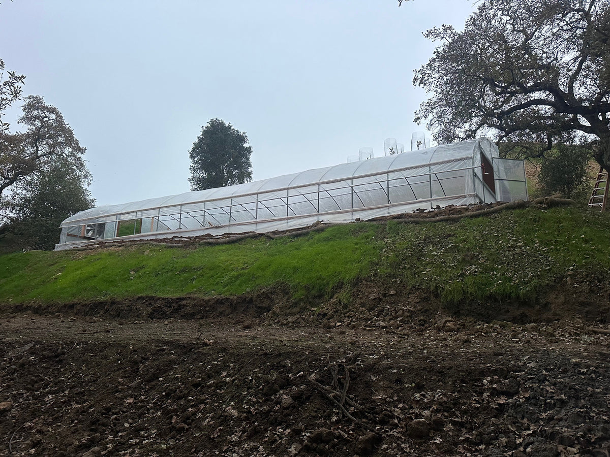 Traditional Greenhouse Kit, Size 24x100x10