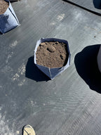 Smart Fabric Grow Bags Discount Whole Sales, Minimum One Bundle 500 Bags, Local Pick Up or Delivery Depending on Quantiy