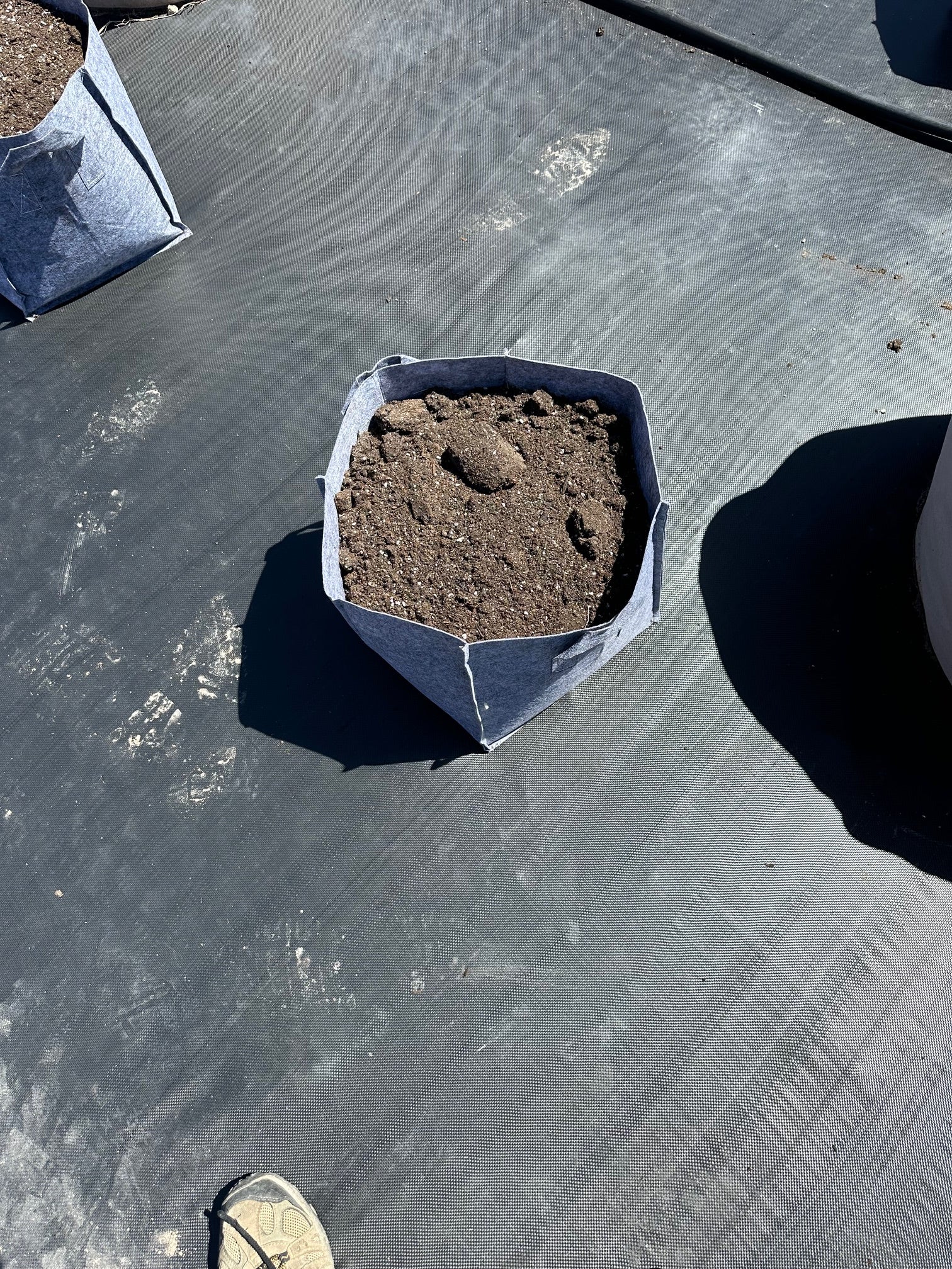 Smart Fabric Grow Bags Discount Whole Sales, Minimum One Bundle 500 Bags, Local Pick Up or Delivery Depending on Quantiy