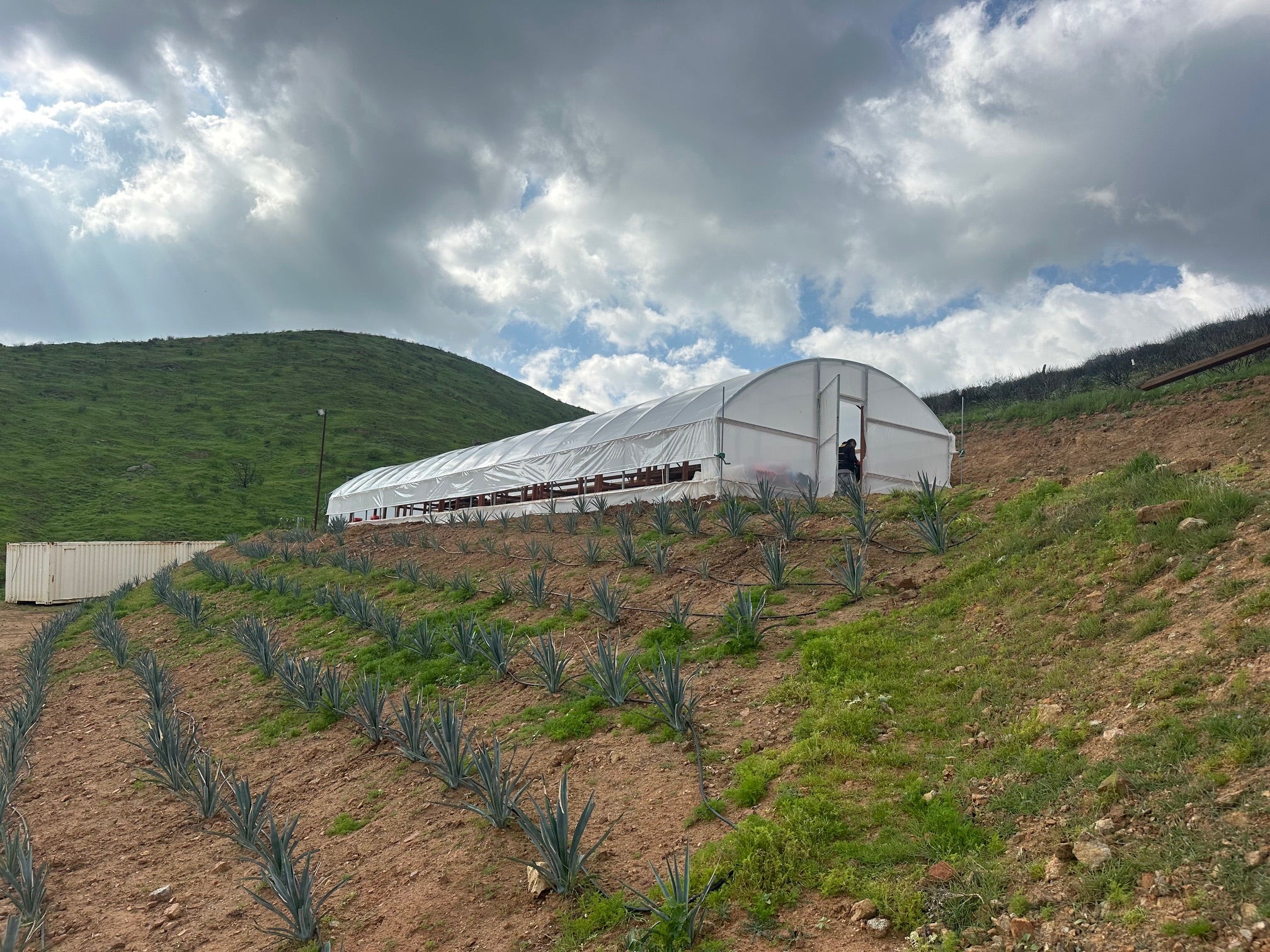 Traditional Greenhouse Kit, Size 24x100x10