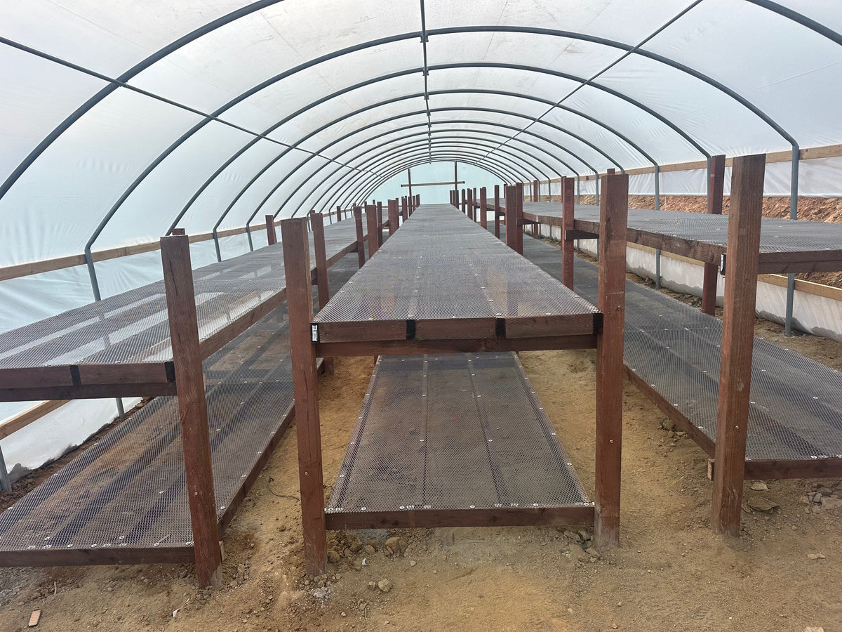Traditional Greenhouse Kit, Size 24x100x10