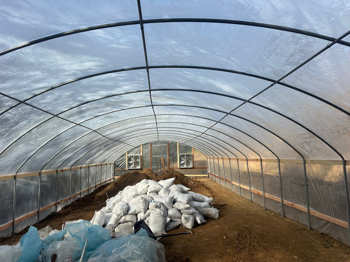 Traditional Greenhouse Kit, Size 24x100x10