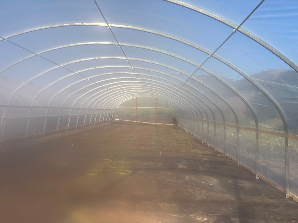 Greenhouse Kit, Size 30x70x11, Oval Shaped Hoop 30x55mm