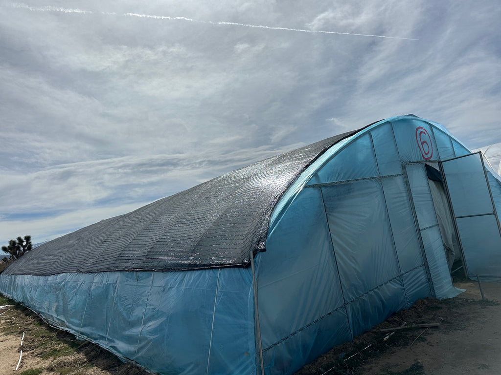 Greenhouse Kit, Size 30x100x11, Round Pipe Hoop 1.25 Inch