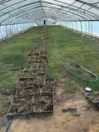 Greenhouse Kit, Size 30x100x11, Round Pipe Hoop 1.25 Inch