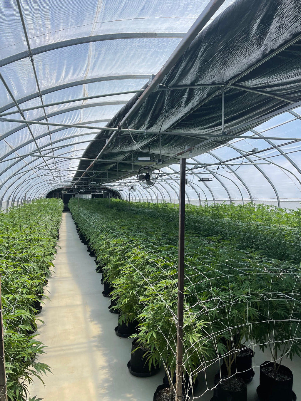 Heavy Duty Light Dep Greenhouse Kit, Size 30x70x11, Oval Shaped Hoop 30x70mm