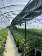 Heavy Duty Light Dep Greenhouse Kit, Size 30x70x11, Oval Shaped Hoop 30x70mm