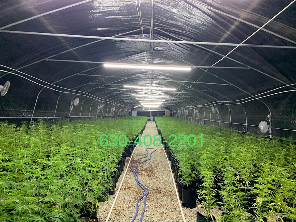 Heavy Duty Light Dep Greenhouse Kit, Size 30x70x11, Oval Shaped Hoop 30x70mm