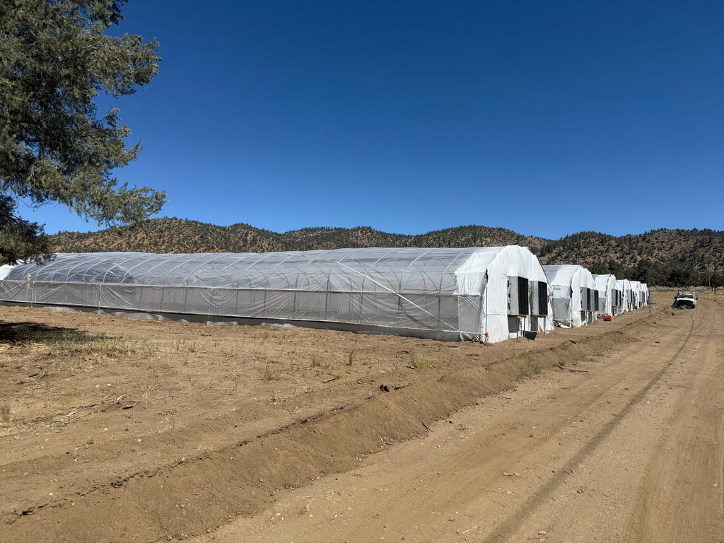 Heavy Duty Light Dep Greenhouse Kit, Size 30x70x11, Oval Shaped Hoop 30x70mm