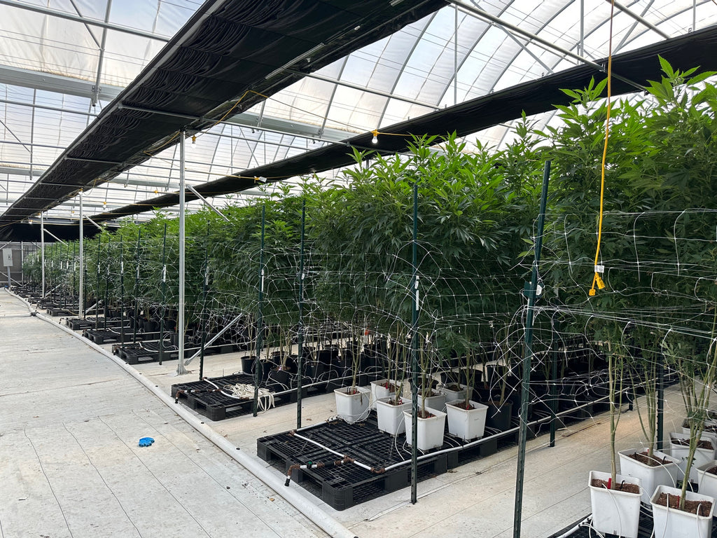 Heavy Duty Light Dep Greenhouse Kit, Size 30x70x11, Oval Shaped Hoop 30x70mm