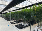 Heavy Duty Light Dep Greenhouse Kit, Size 30x70x11, Oval Shaped Hoop 30x70mm