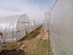 Greenhouse Baton Tape Band 3/4" x 1000ft to Tie Down and stabilize Greenhouse Film to The Frame and not Moving in Wind gust